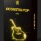 Producer Assistant Acoustic Pop Kits Vol.1 (Premium)