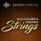 Samplemodeling Solo, Chamber & Ensemble Strings KONTAKT (Premium)
