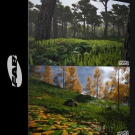 Fab – UE5 Procedural Biomes (Premium)