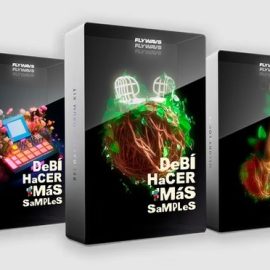 Flywavs DeBi HaCER MaS SaMPLes (Premium)