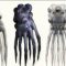 NMA / New Masters Academy – How to Design Creatures (Premium)