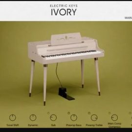Native Instruments Electric Keys Ivory v1.0.0 KONTAKT (Premium)