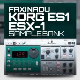 Ocean Swift Faxinadu Korg ES1 ESX-1 Samplebank (Premium)