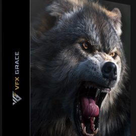 VFX Grace – Blender Animal Full Tutorial  (Premium)