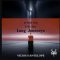 Vicious Antelope Long Journeys NKS U-HE DIVA PRESETS (Premium)