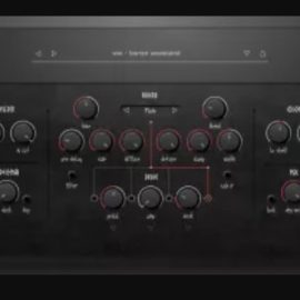 Whats This Button Do Left Hand Path v1.0.0 (Premium)