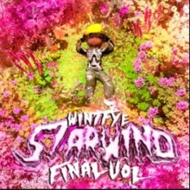 wintfye “丂tar山ind” stash kit final vol.2k24 (Premium)