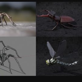 Blendermarket – Blender 2.81 – Insect And Spiders Creation Full Course (Premium)
