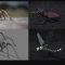 Blendermarket – Blender 2.81 – Insect And Spiders Creation Full Course (Premium)