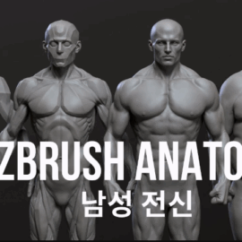 CGBump – Zbrush Senior Anatomy (Male) (Premium)