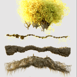 Canopy – Advanced Geometry Nodes for Blender 3.3+ (Premium)