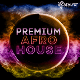 Catalyst Samples Premium Afro House (Premium)