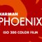 Film is Fun – Harman Phoenix 200 Film Emulation Lightroom Preset (Premium)