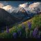 Max Rive Photography – Landscape Post Processing Course Colors (Premium)