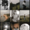 Vladimir Tashlanov – 12 FILM PRESETS (Premium)