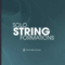 Fracture Sounds Solo String Formations v1.0.1 KONTAKT (Premium)