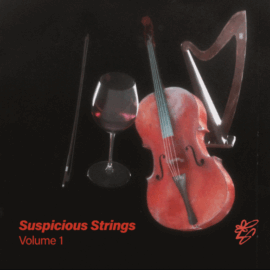 Loop Garden Suspicious Strings Vol.1  KONTAKT (Premium)