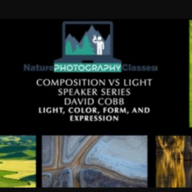 Nature Photography Classes – David Cobb – Light, Color, Form, and Expression (Premium)
