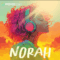 Producer Loops Norah MULTiFORMAT (Premium)
