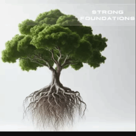 Soundsdivine Strong Foundations STUDIO ELECTRONICS SE-3X PRESETS (Premium)